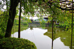 大きな池がみえてきた