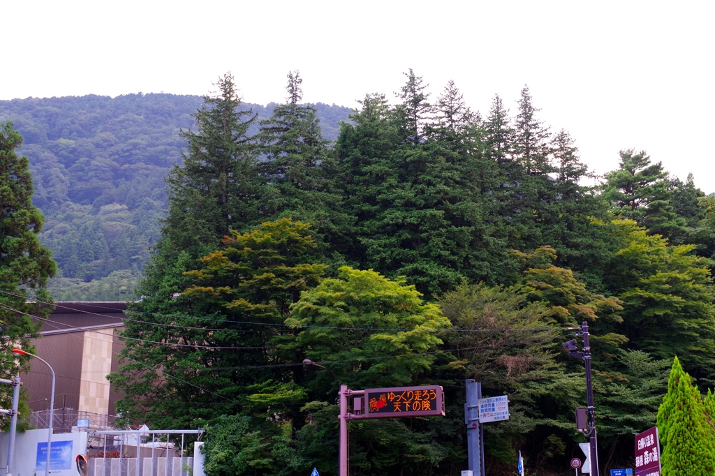 山ですなｗ
