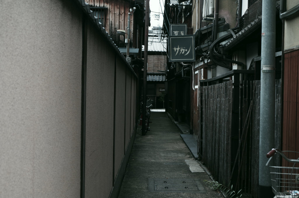 IMGP0873