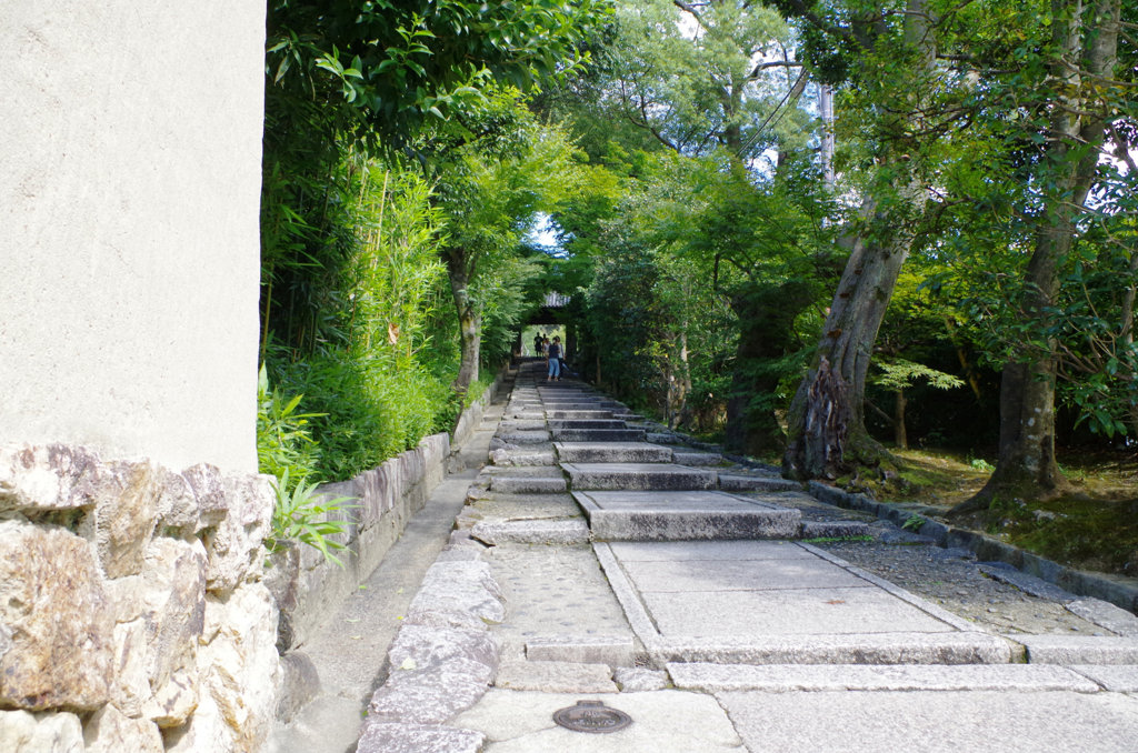 これは登れない