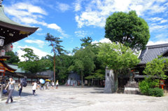 IMGP0892