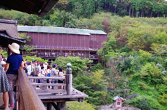 清水の舞台
