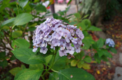IMGP1067