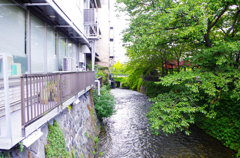 緑が気持ちいいです