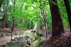 川の道