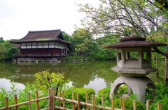 IMGP1035