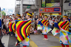 今回の優勝チーム