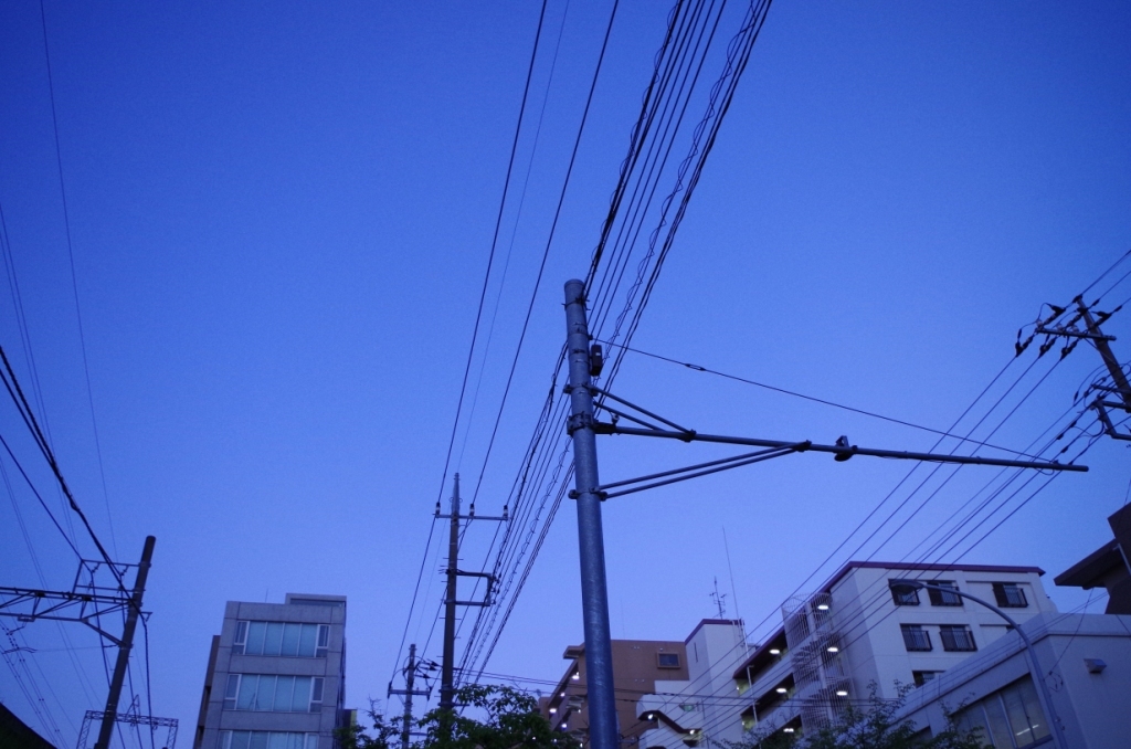 でもまだ青いよ
