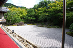 綺麗なお庭