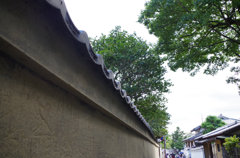 IMGP0911
