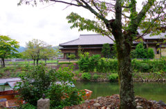 IMGP1258