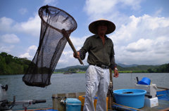 漁師さんにウナギ触らせてもらった