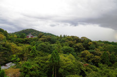 向こうの建物なんだろう