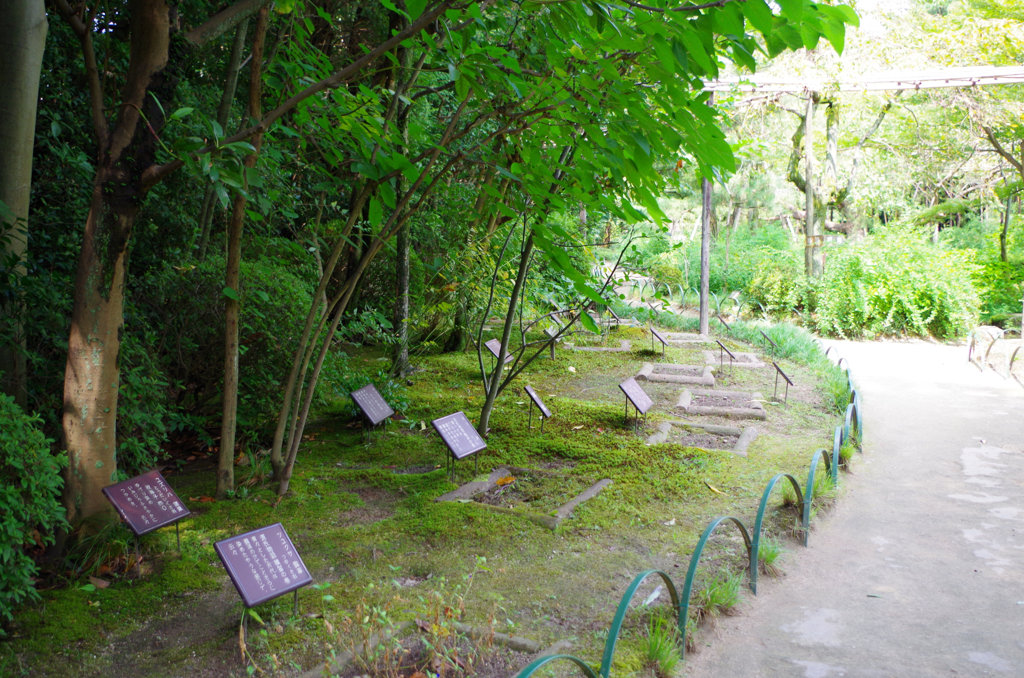 ひとつひとつに説明