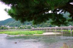 四日目。嵐山。