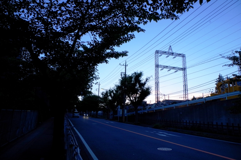 IMGP0261