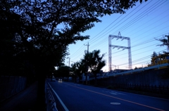 IMGP0261