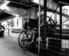 自転車