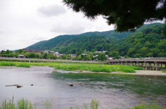 渡月橋がちょっと