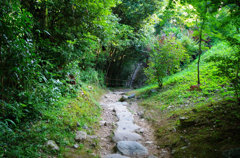 ここから川におりる