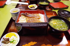 めちゃくちゃおいしかった