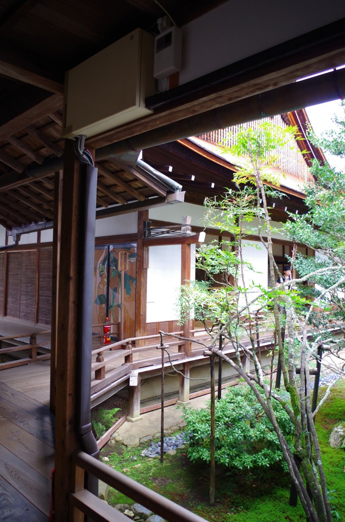 旧嵯峨御所に来ました。