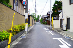 IMGP0973