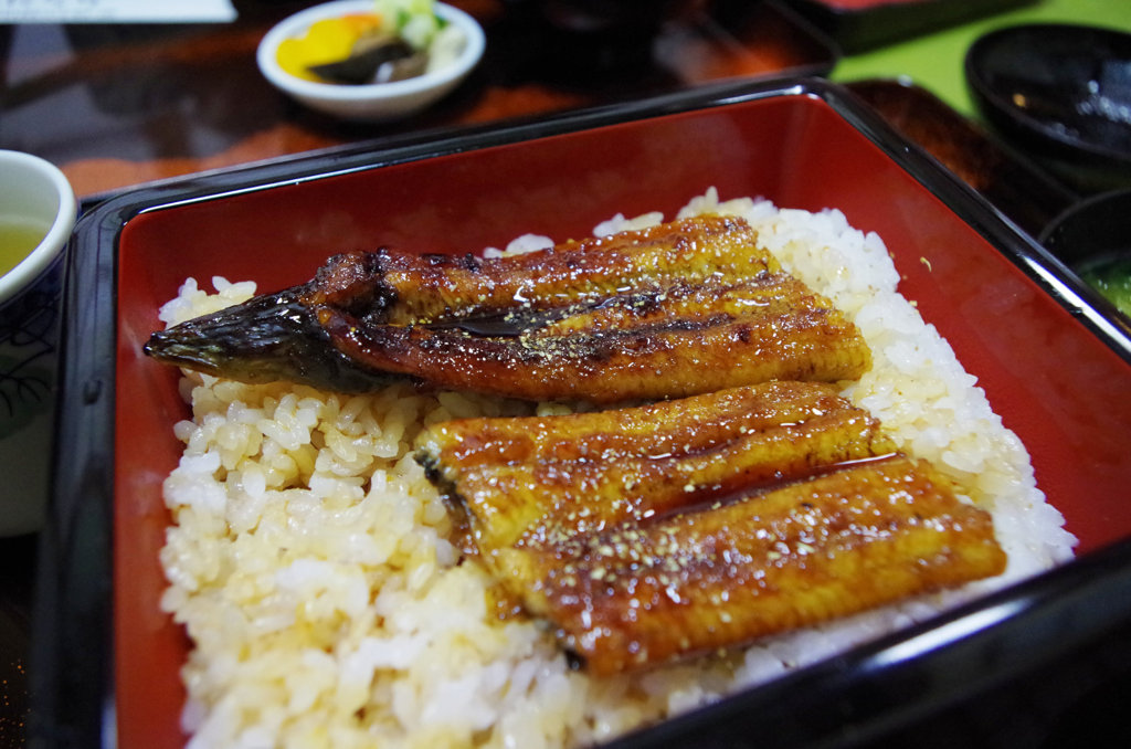 お昼はウナギ（ガチ天然）