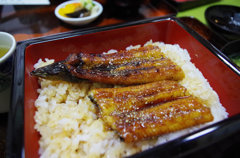 お昼はウナギ（ガチ天然）