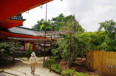 神苑