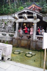 やらなかったけど、