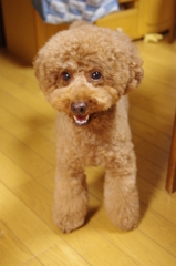 何か考えてる・・・