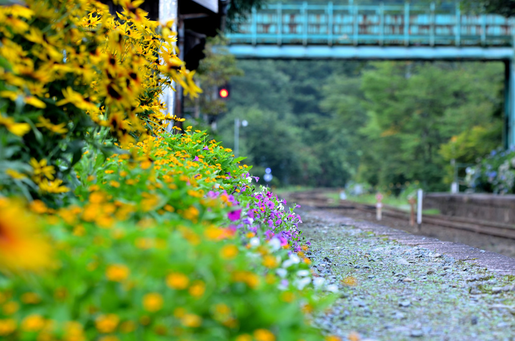 沢入駅①