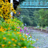 沢入駅①