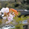 旅行先にて③