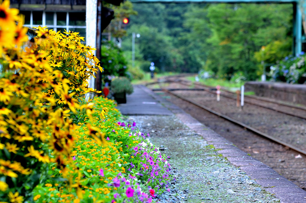 沢入駅②