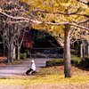 季節は巡って