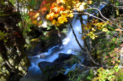 秋色に染まる竜頭の滝