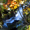 秋色に染まる竜頭の滝