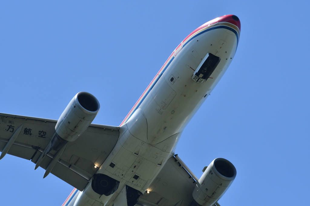 D500試し撮り1