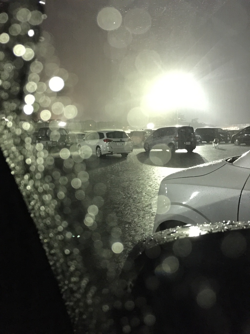 雨の富士スピードウェイ駐車場