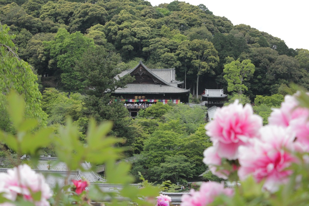 花のお寺