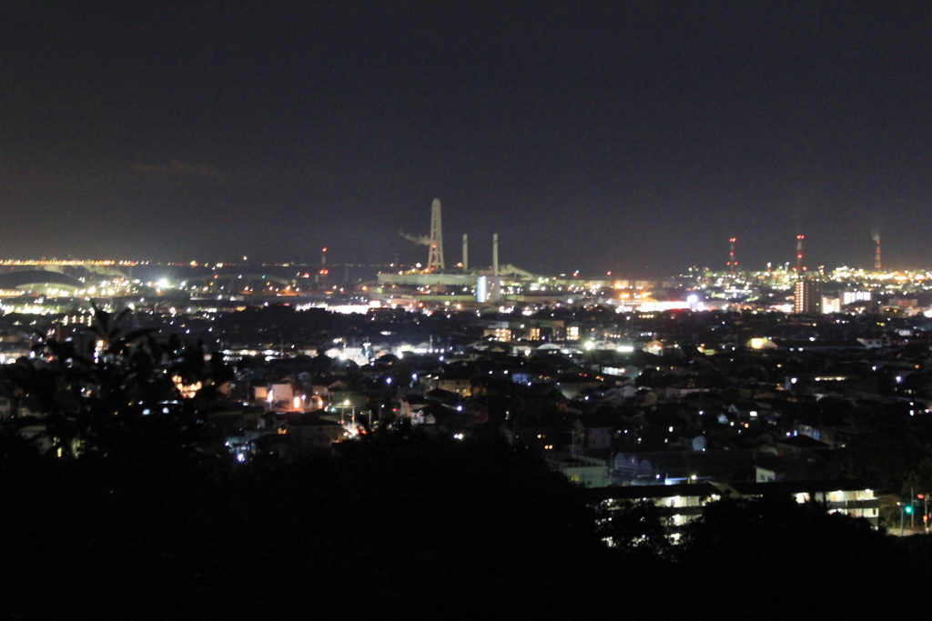 公園から見た夜景