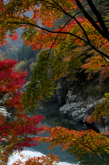 祖谷渓の紅葉
