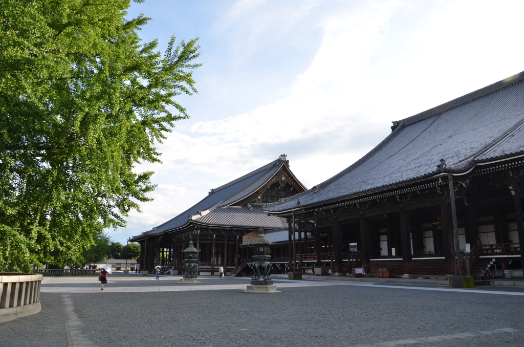 御影堂と阿弥陀堂（西本願寺）