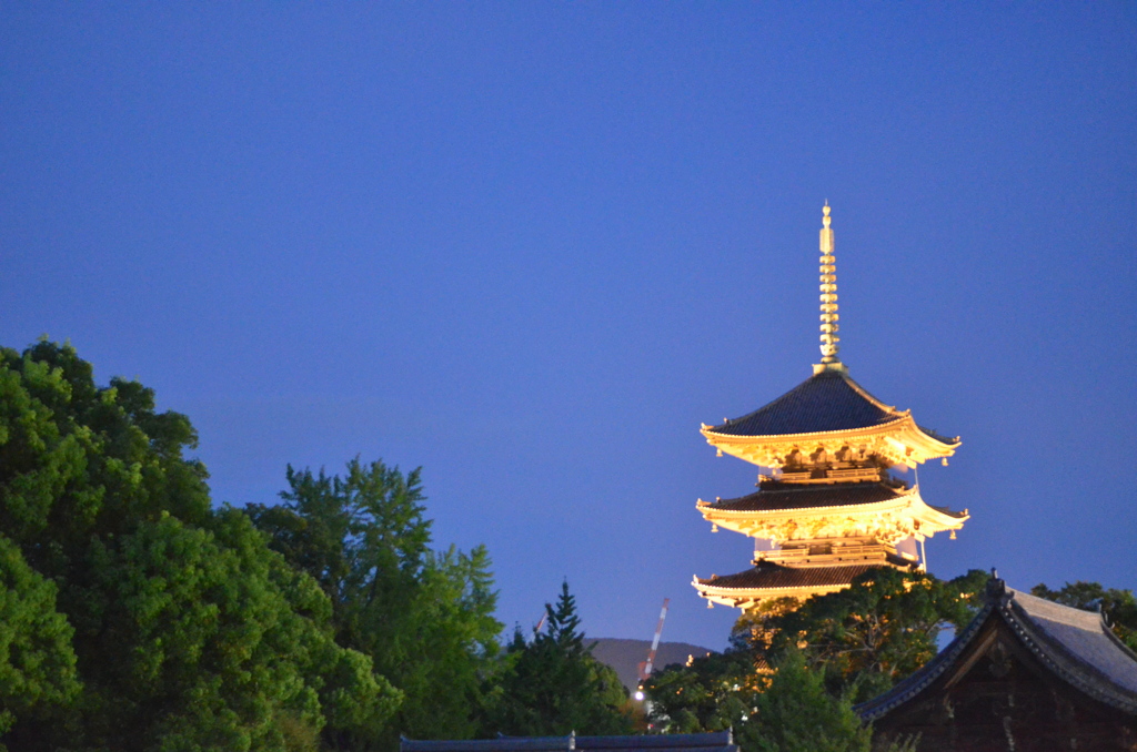 金色に輝く東寺五重塔