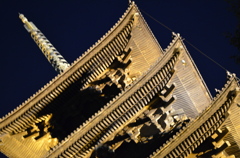 金色に輝く東寺五重塔