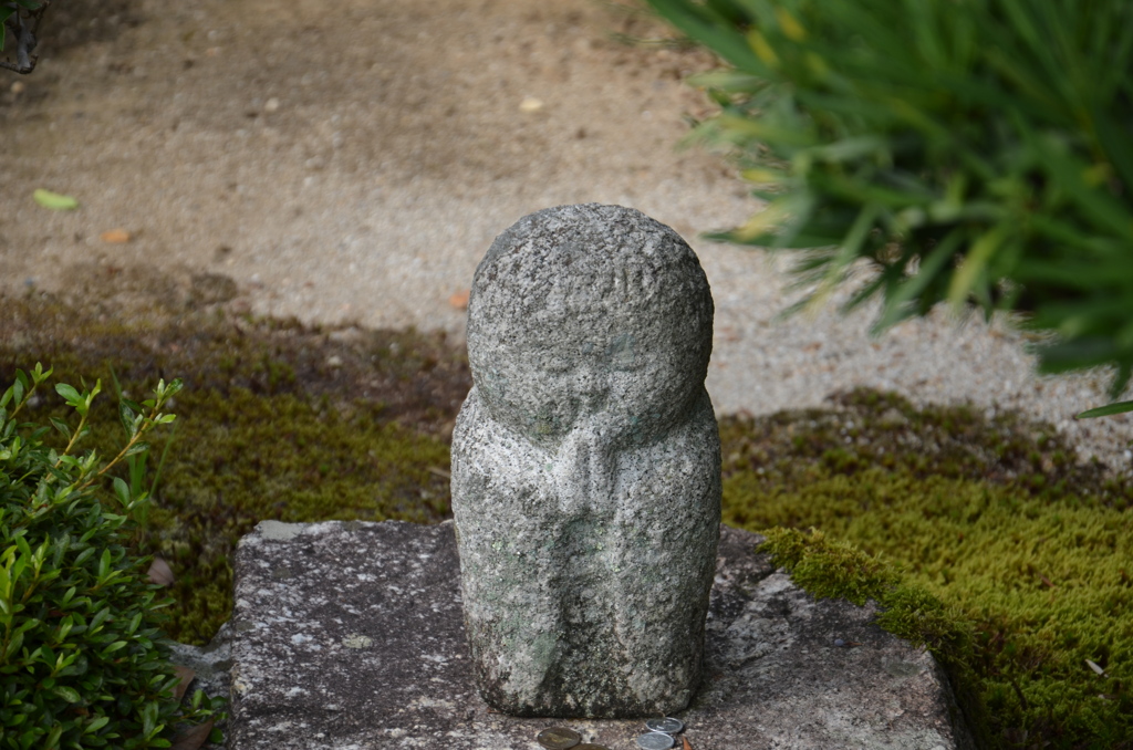 『綺麗に撮って下さいね』（妙心寺）