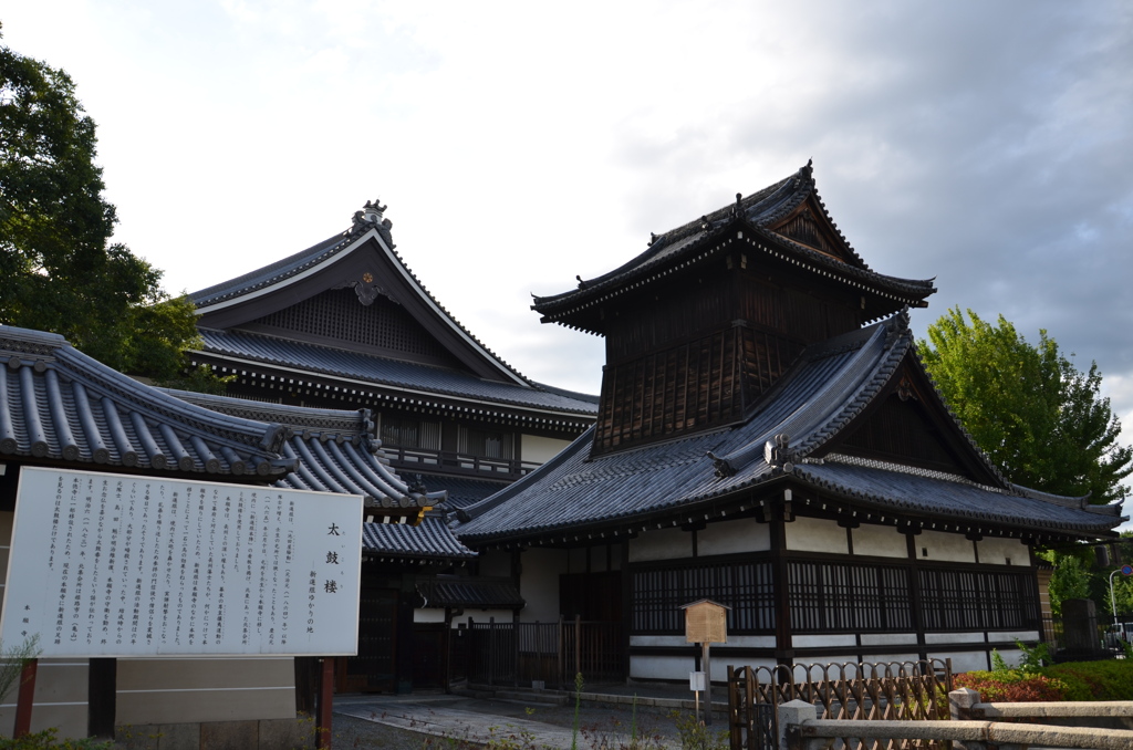 壬生狼（絶滅種）転居先（西本願寺太鼓楼）