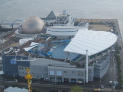 名古屋港水族館